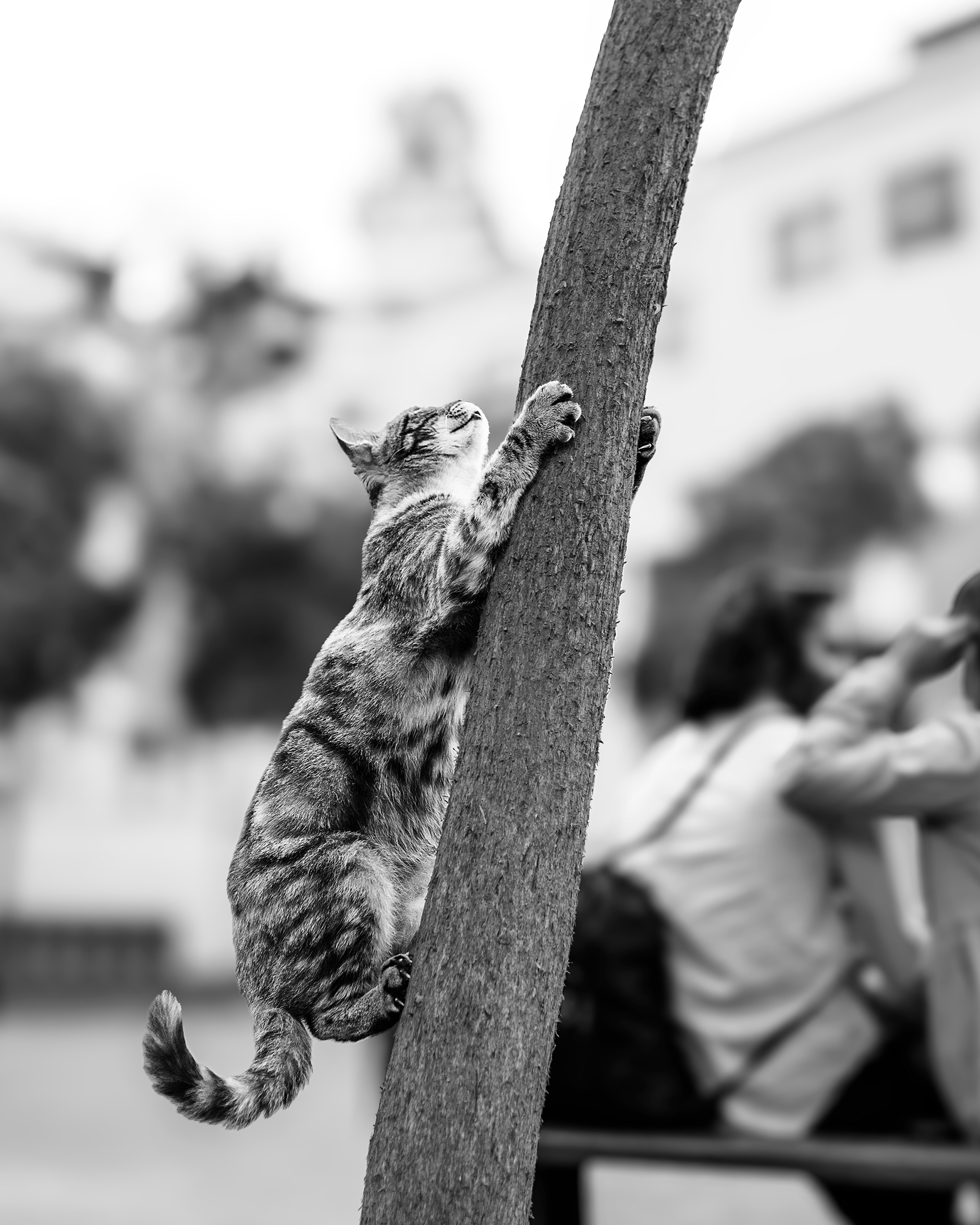 Presencias 3
